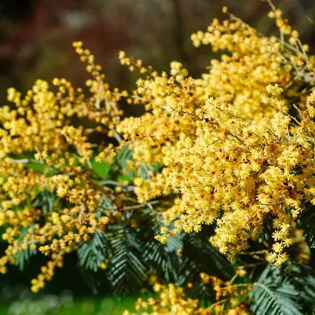 D'hote La Chapelle *